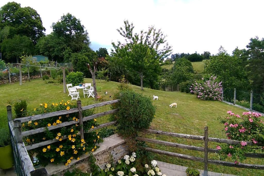 Cottage By The Chateau With Pool In National Parc Les Salles-Lavauguyon Exteriér fotografie